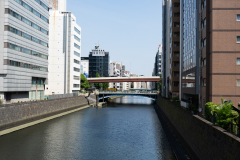 20250823-DSC05123-α7Ⅲ